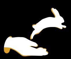 Dr. Lynn Miner Ring 398